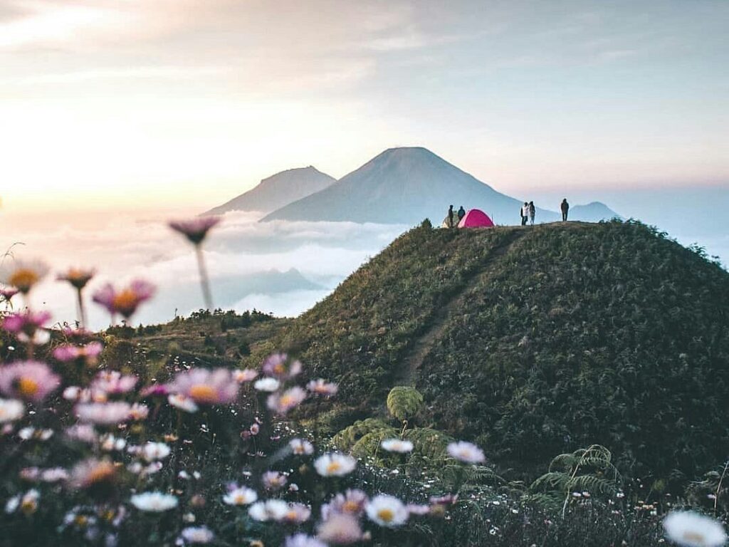 Borobudur Dieng Mt.Prau Tour