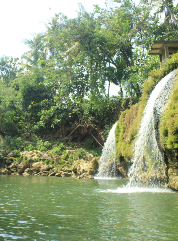 Sightseeing & Water activities