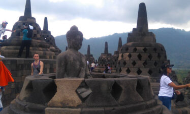 Nglinggo Tea Plantation & Borobudur Tour