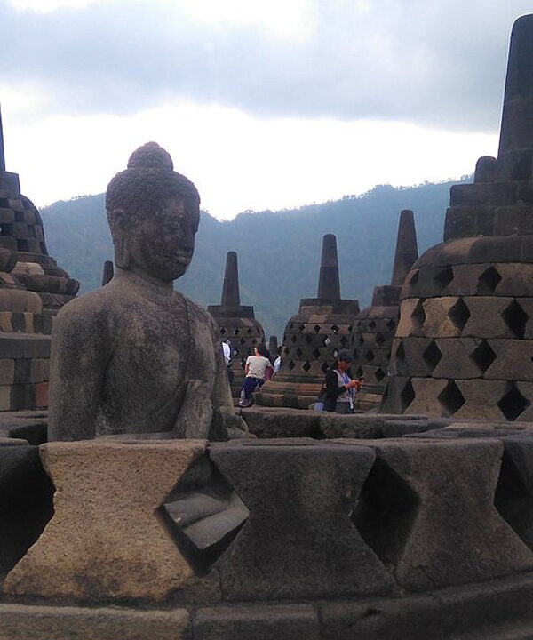 Nglinggo Tea Plantation & Borobudur Tour
